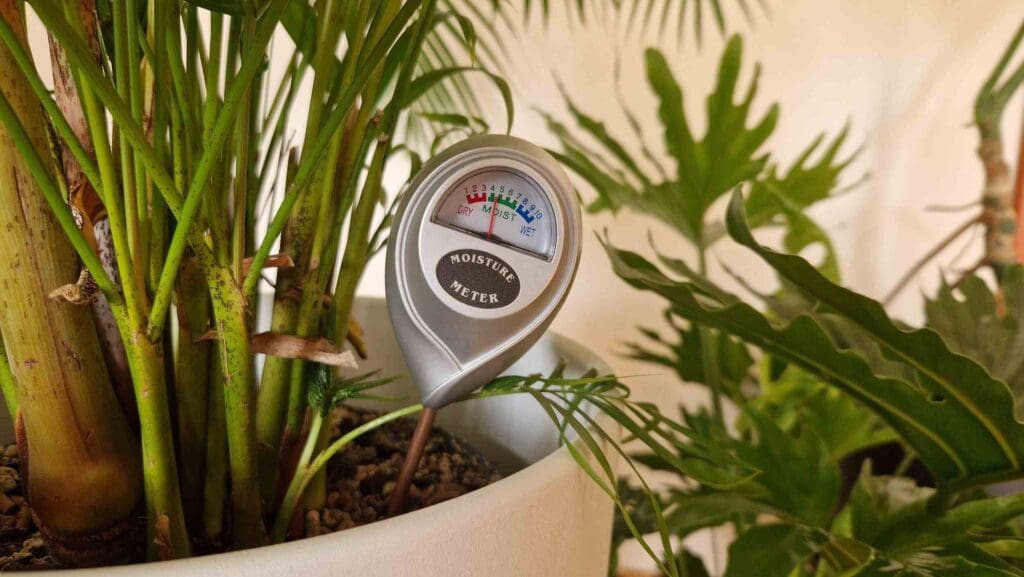 Zalijevanje po mjeri: Vlagomjer za zemlju kao nezamjenjiv alat za tvoje biljke