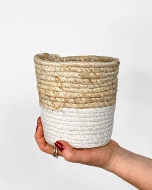 Košara duotone - bijela (M) - 12 cm