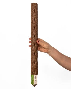 Kratiste prirodna potpora (M) - 50 cm